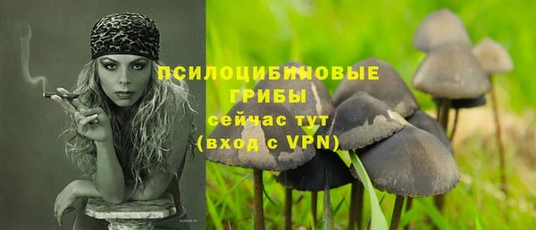 2c-b Новокубанск