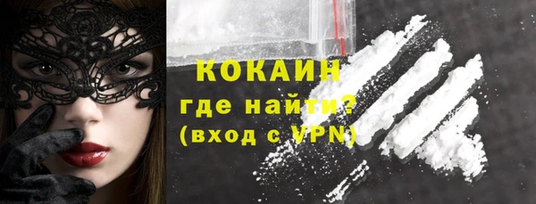 гидра Новозыбков