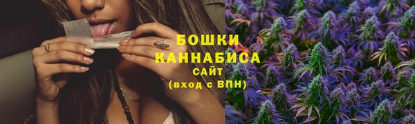 сатива Нея
