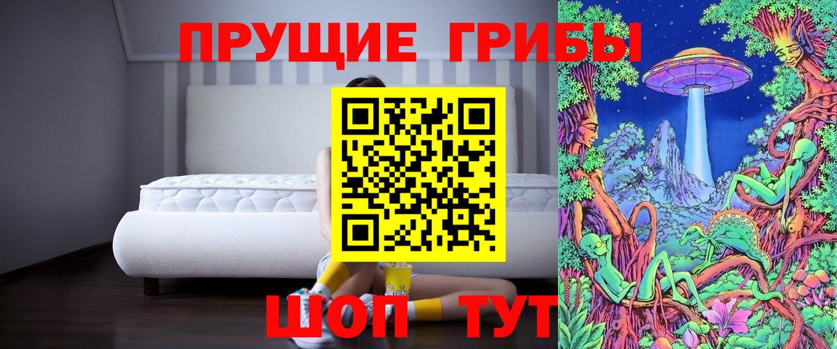 Псилоцибиновые грибы Psilocybine cubensis Сарапул