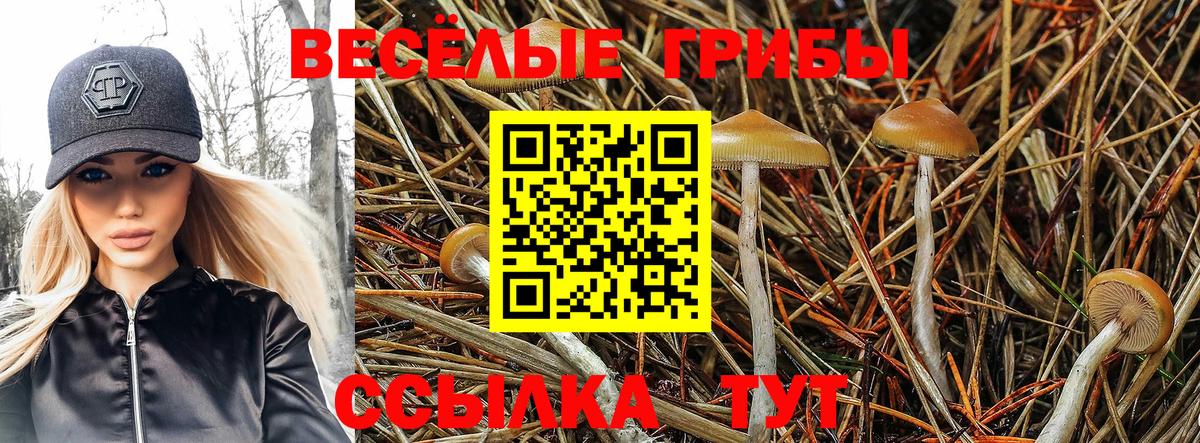 Псилоцибиновые грибы ЛСД  закладка  Псилоцибиновые грибы прущие грибы  Сарапул  Вход с VPN 
